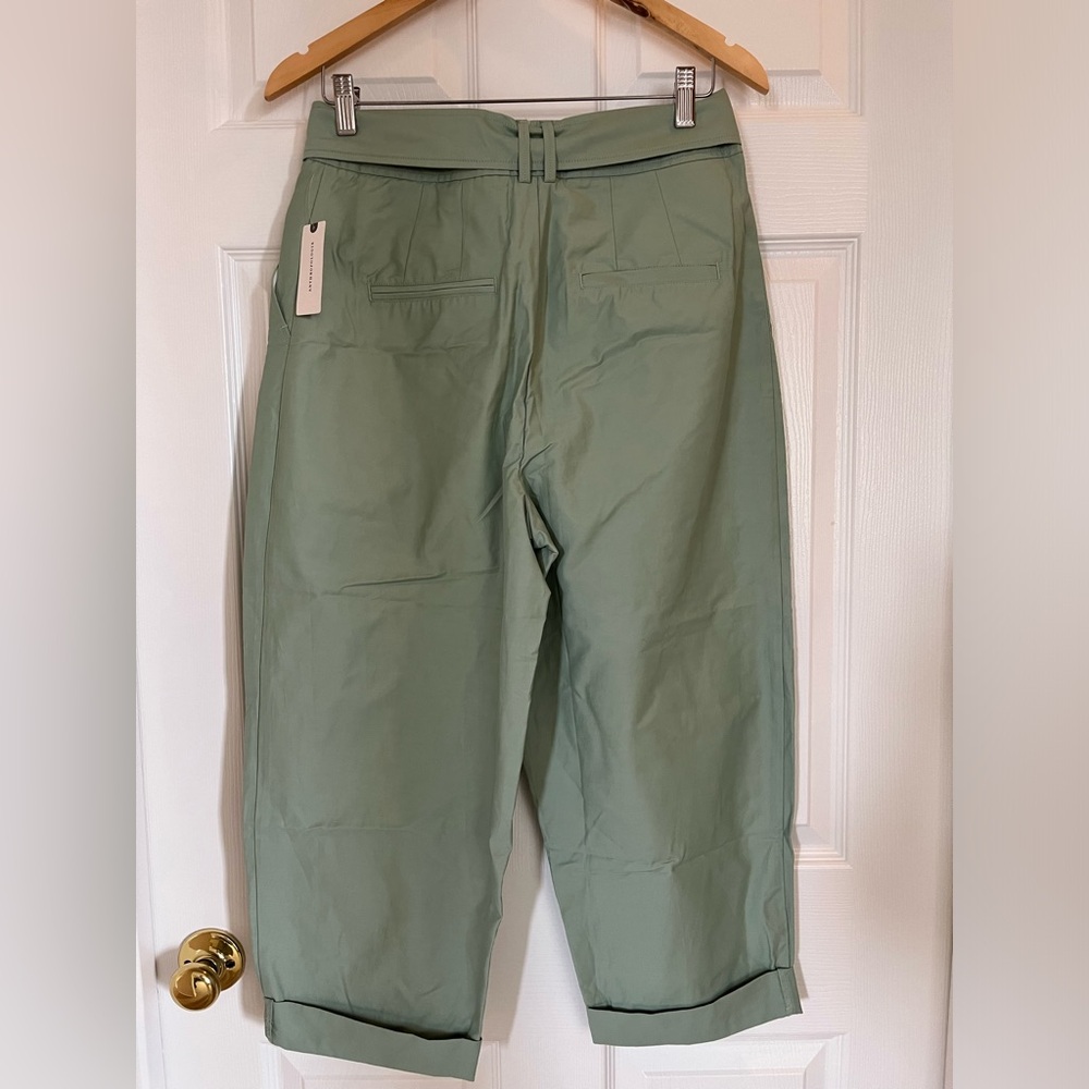 Maeve Light Green Cropped Ankle Pants - Picture 7 of 12